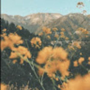 Meet your Posher, Kaylie